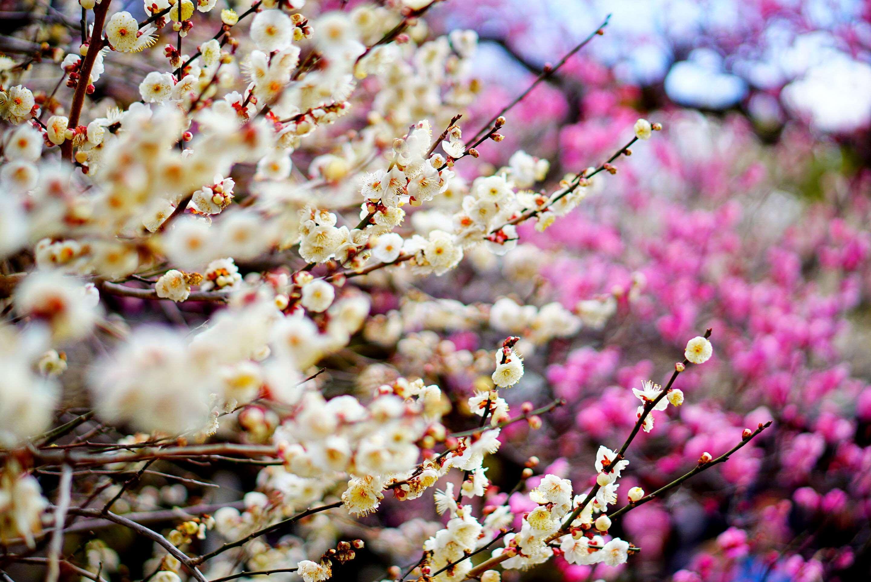 Hotel Wbf Kyoto Shijo Nishikitei ภายนอก รูปภาพ
